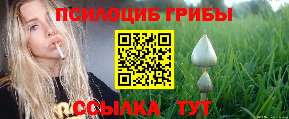 Псилоцибиновые грибы Psilocybine cubensis  Галлюциногенные грибы Psilocybe  Ахтубинск  Вход с VPN 
